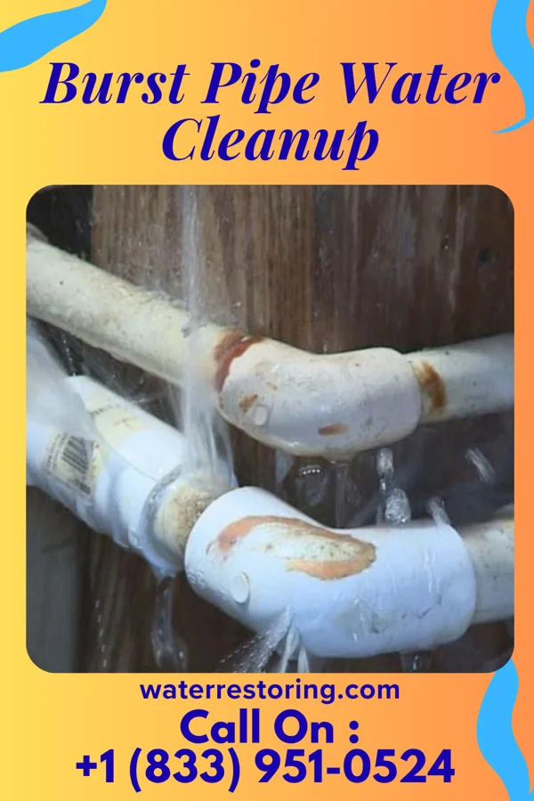 Burst Pipe Water Cleanup in Munhall, PA