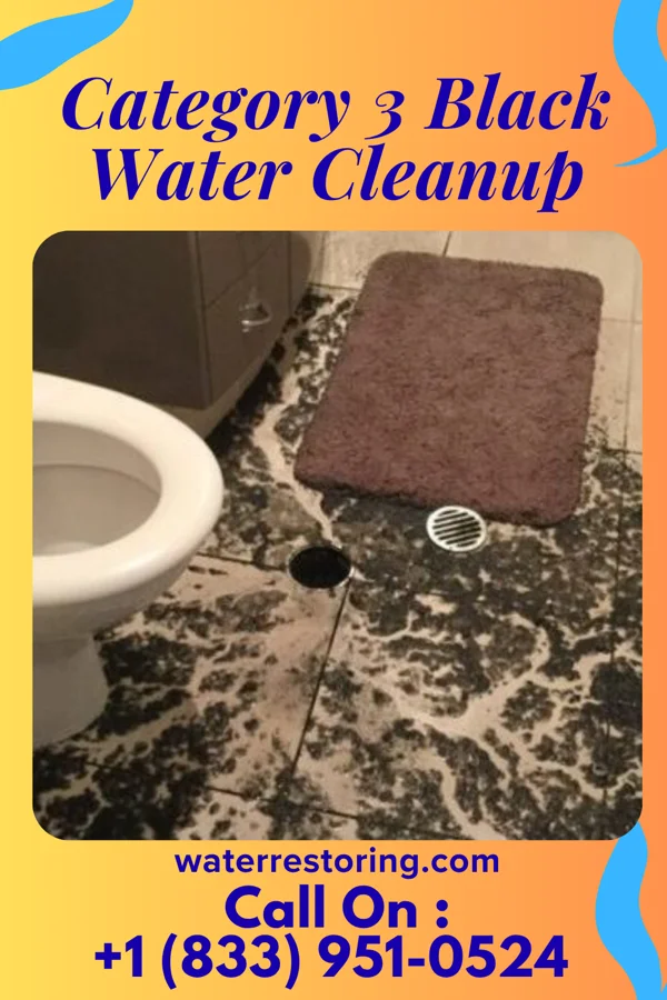 Category 3 Black Water Cleanup in Munhall, PA