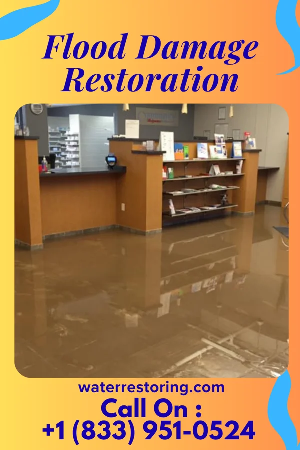 Flood Damage Restoration in Munhall, PA