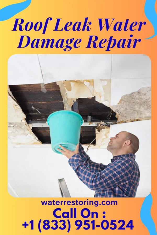 Roof Leak Water Damage Repair in Munhall, PA