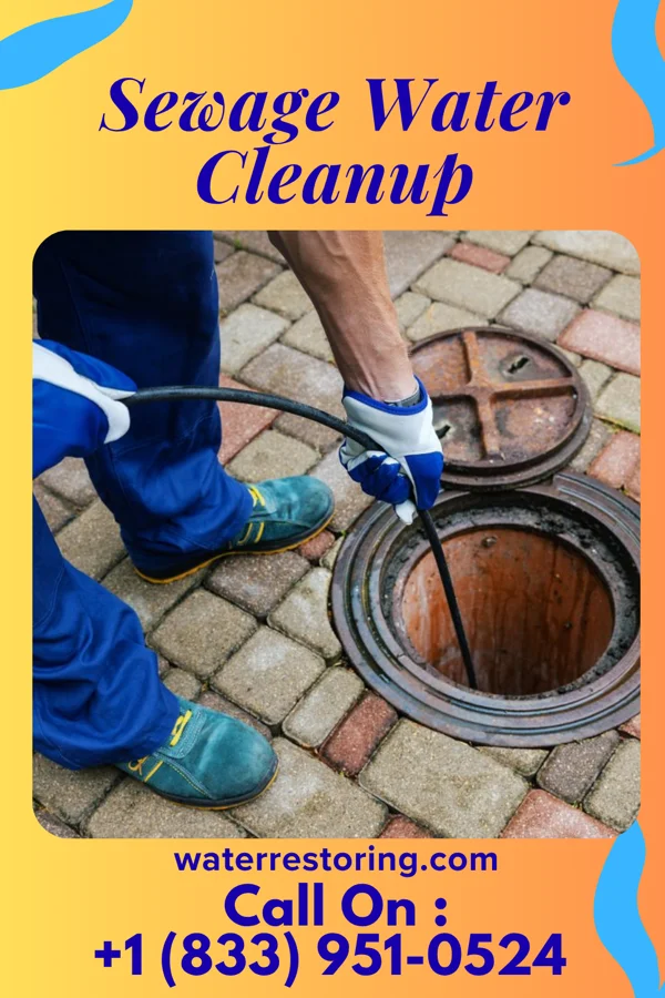 Sewage Water Cleanup in Munhall, PA