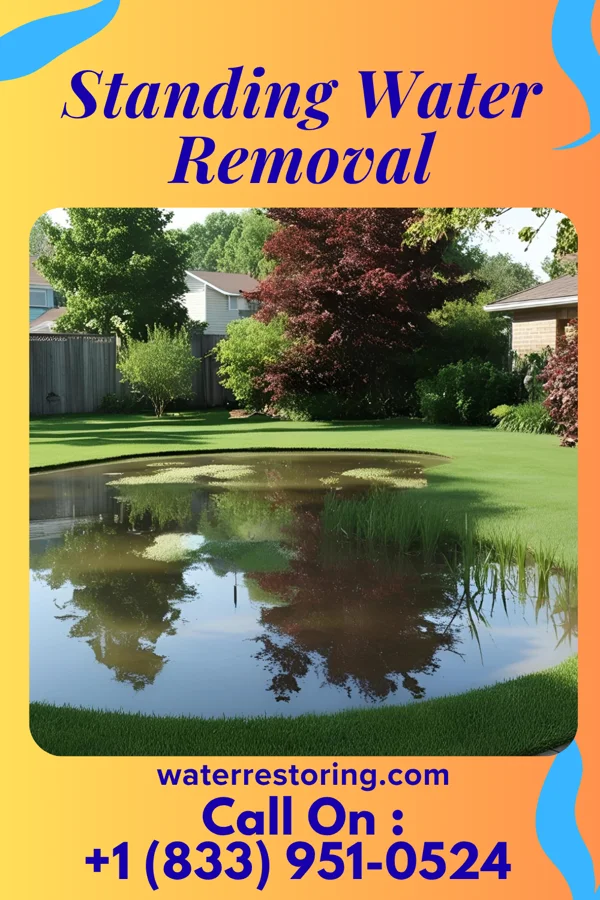 Standing Water Removal in Munhall, PA